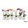 Phalaenopsis mini Deco - Orchidea